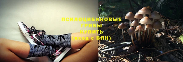 твердый Алексеевка