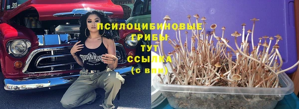 твердый Алексеевка