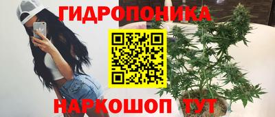 твердый Краснознаменск