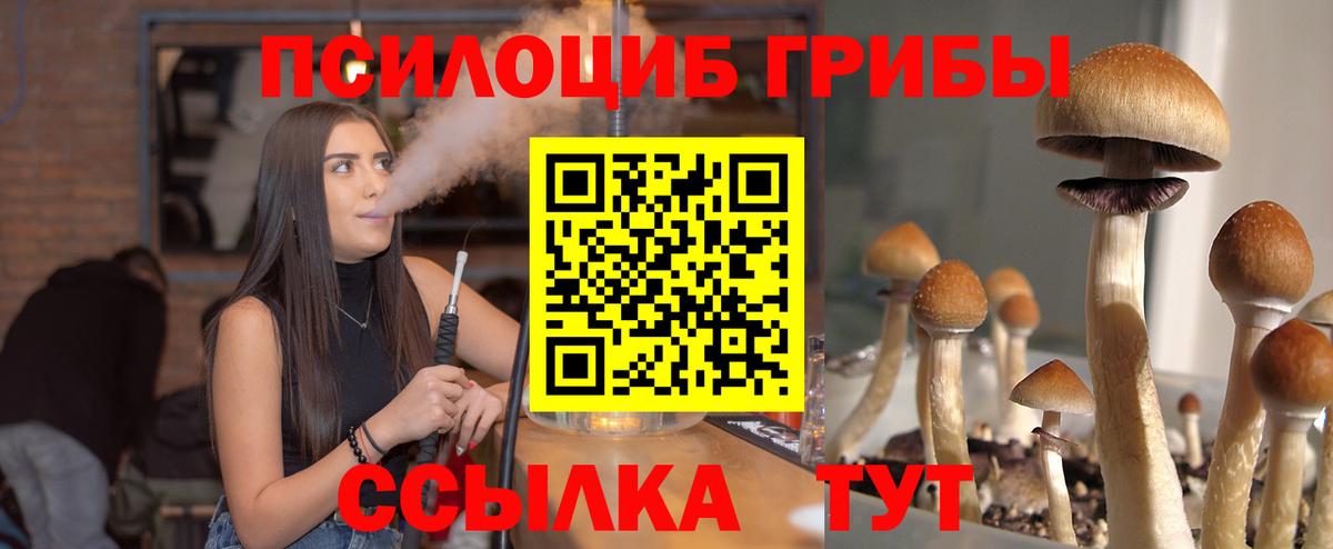 Псилоцибиновые грибы Cubensis  Вход с VPN  Киреевск 